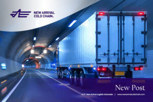 Benefits of Using Refrigerated Cars for Shipping