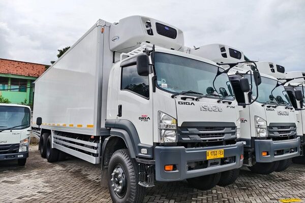 photo - New Arrival Cold Chain - 11 photo - New Arrival Cold Chain - 11