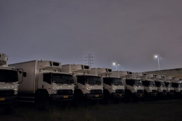 photo - New Arrival Cold Chain - 12