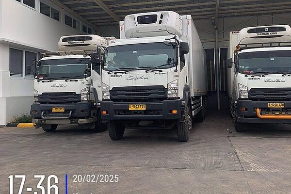 photo - New Arrival Cold Chain - 2