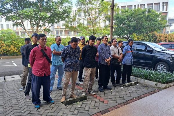 photo - New Arrival Cold Chain - 21