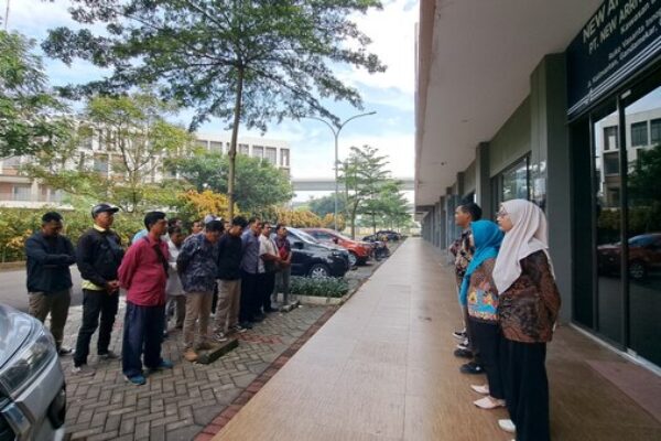 photo - New Arrival Cold Chain - 23