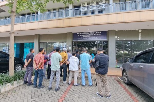 photo - New Arrival Cold Chain - 24