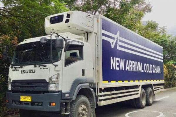 photo - New Arrival Cold Chain - 9